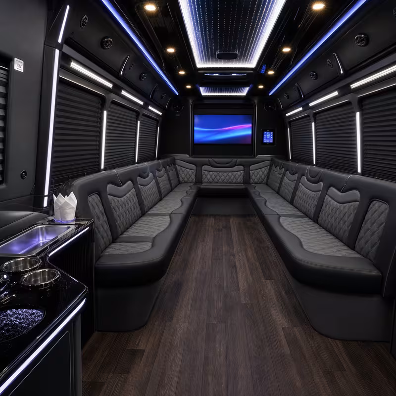 14 Passenger Sprinter Limo Interior