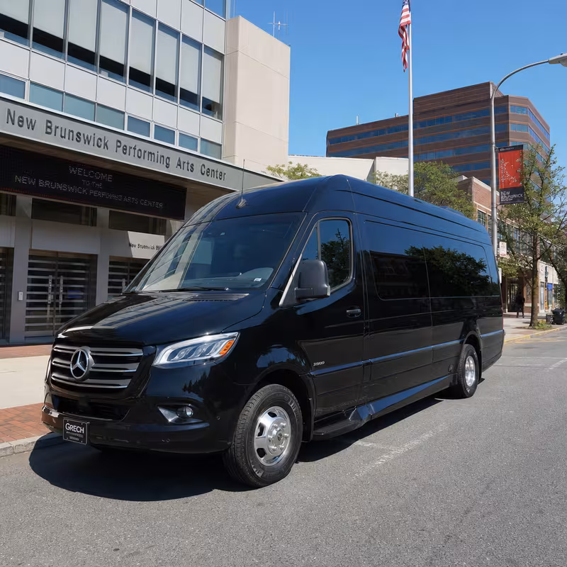 14 Passenger Sprinter Limo